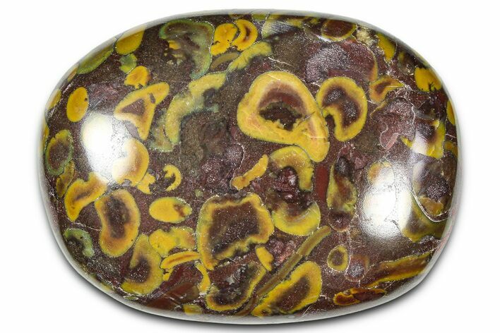 Polished Fruit Jasper Palm Stone - India #342251